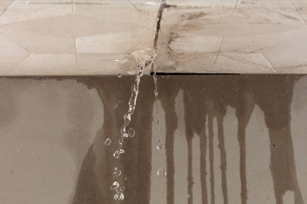 Professional Flood Damage Cleanup technician working in Holland, OH